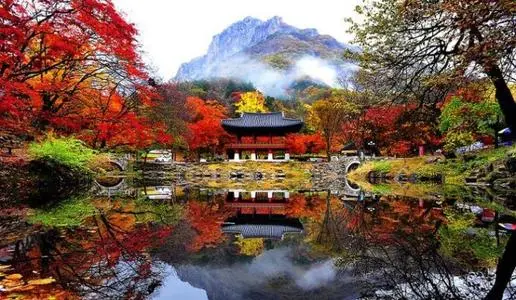 詳述注冊(cè)韓國(guó)公司都需要什么資料？