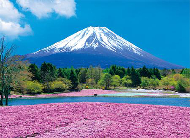 詳細(xì)介紹日本注冊(cè)公司有什么要求？