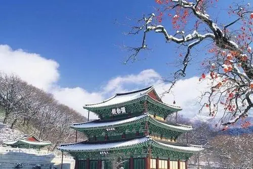 亞洲東部公司注冊(cè)之韓國公司注冊(cè)