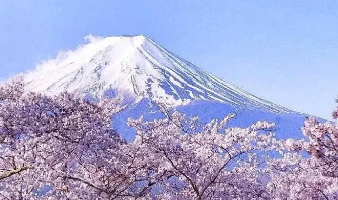 日本公司注冊有哪些要求？